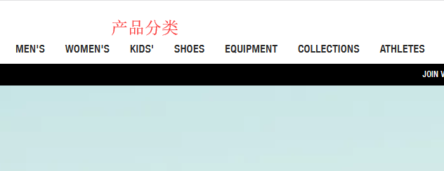 TNF网站页面