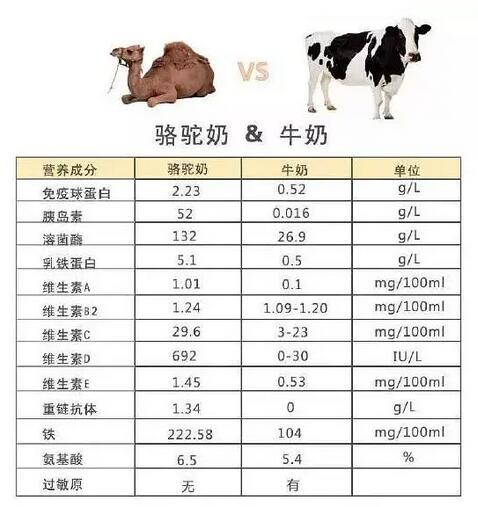 2020史上最全迪拜骆驼奶粉海淘攻略 教你如何转运迪拜骆驼奶粉