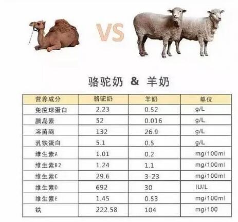 2020史上最全迪拜骆驼奶粉海淘攻略 教你如何转运迪拜骆驼奶粉