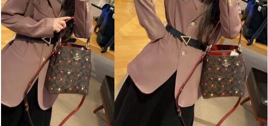COACH蔻驰Small Town Bucket情人节限定水桶包降至$132.3