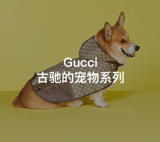 大牌奢侈宠物用品 | Gucci 古驰“人不如猫狗”系列用品海淘