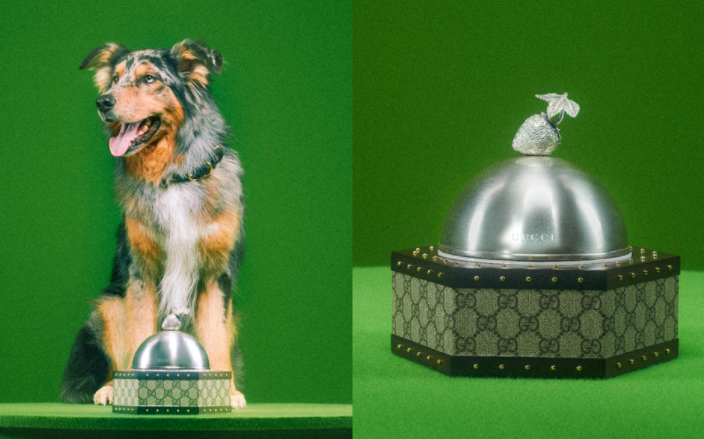 大牌奢侈宠物用品 | Gucci 古驰“人不如猫狗”系列用品海淘